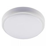 LED outdoor - wall light 7W 550lm 4000K IP54  - White