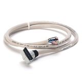 Allen-Bradley 1492-CABLE010P Connection Products, Digital Cable, 1.0 m (3.28 ft), 1492-CABLE(1)P IFM-RDY 20 COND