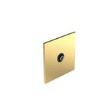 Art d'Arnould - 1 gang television socket single male socket Epure - Brushed Gold