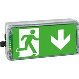 EX-protected emerg.luminaire EXIT N zone1/21 LED 3h 230V AC