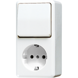 Combination SCHUKO® socket / 1-gang 676AWW