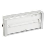 Emergency luminaire B66 - non-maintained - IP 66 - 1h - 250 lm