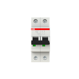 S202M-B63 Miniature Circuit Breaker - 2P - B - 63 A