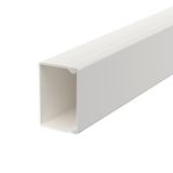 WDK30045RW Wall trunking system with base perforation 30x45x2000