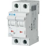 Miniature circuit breaker (MCB), 1 A, 2p, characteristic: B