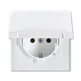 20 EUGK-34-101-500 Cover Plates (partly incl. Insert) Protective Contact (SCHUKO) with Hinged Lid alpine white - Allwetter 44 (IP 44)