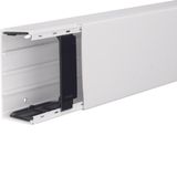 Distribution trunking outside, 60x110,pw