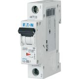 Miniature circuit breaker (MCB), 5 A, 1p, characteristic: B, 6 kA