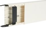 Liféa trunking40x110, c, 2cable r., pw