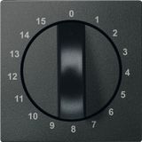 Central plate for time switch insert, 15 min, anthracite, System M