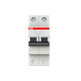 SH202L-B10 Miniature Circuit Breaker - 2P - B - 10 A