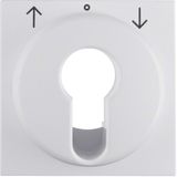 Centre plate for blind switch and key switch polar white matt