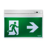 Emergency exit sign, Exiway Smartexit Activa, self-diagnostics, maintained, 24 m, 3 h