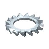 SWS M8 A2 Serrated washer  M8