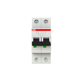 S202-D10 Miniature Circuit Breaker - 2P - D - 10 A