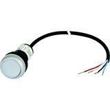 Illuminated pushbutton actuator, Flat, momentary, 1 N/O, Cable (black) with non-terminated end, 4 pole, 3.5 m, LED white, White, Blank, 24 V AC/DC, Be