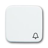 2520 KI-214 CoverPlates (partly incl. Insert) carat® Alpine white