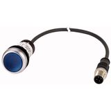 Illuminated pushbutton actuator, Flat, momentary, 1 N/O, Cable (black) with M12A plug, 4 pole, 0.5 m, LED Blue, Blue, Blank, 24 V AC/DC, Bezel: titani