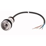 Pushbutton, Flat, momentary, 1 N/O, Cable (black) with non-terminated end, 4 pole, 3.5 m, Without button plate, Bezel: titanium
