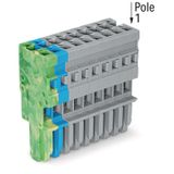 1-conductor female connector CAGE CLAMP® 4 mm² gray/blue/green-yellow