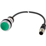 Illuminated pushbutton actuator, Flat, momentary, 1 N/O, Cable (black) with M12A plug, 4 pole, 0.2 m, LED green, green, Blank, 24 V AC/DC, Bezel: tita