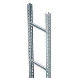 SLM 50 C40 2 FT Vertical ladder heavyweight with C 40 rung 200x3000