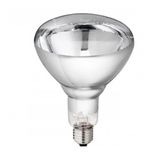 Reflector Bulb E27 250W IKZ Clear
