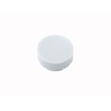 Button plate, raised white, blank