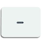 1787-24G CoverPlates (partly incl. Insert) carat® Studio white