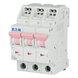 Miniature circuit breaker (MCB) with plug-in terminal, 2 A, 3p, characteristic: D