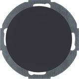 Blind plug centre plate, R.classic, black glossy
