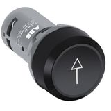 CP9-1033 Pushbutton