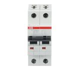 ST201M-B10NA Miniature Circuit Breaker - 2P - B - 10 A
