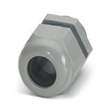 G-INS-N3/8-S68L-PNES-GY - Cable gland