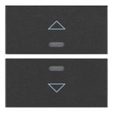 Two half-buttons 2M arrow symbol grey
