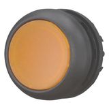 Illuminated pushbutton actuator, RMQ-Titan, Flush, momentary, orange, Blank, Bezel: black