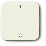2502-212-500 CoverPlates (partly incl. Insert) carat® White