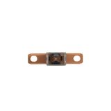 Fuse-link, Overcurrent NON SMD, 100 A