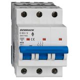 Miniature Circuit Breaker (MCB) AMPARO 10kA, C 63A, 3-pole