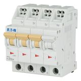 Miniature circuit breaker (MCB) with plug-in terminal, 13 A, 3p+N, characteristic: D