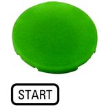 Button plate, flat green, START