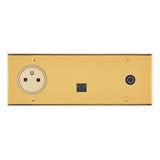 67237 Art d'Arnould univers Mémoire 2P+E 16A 250V power socket, RJ45 category 6 FTP socket and single TV socket - brushed gold