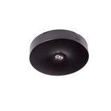 Starlet Round LED SC 350 A 2H AT [BLK]