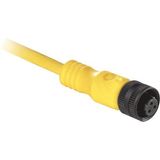 Allen-Bradley, 889R-M3AEA-5, AC Micro (Dual Key), Male, Straight, 3-Pin, PVC Cable, Yellow, Unshielded, Automotive Color Coded, No Connector, 5 meter (16.4 feet)