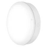 SURFACE BULKHEAD 250 SENSOR 10W 840 WT IP65