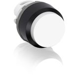 MP3-10W Pushbutton