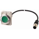 Pushbutton, Flat, momentary, 1 N/O, Cable (black) with M12A plug, 4 pole, 1 m, green, Blank, Metal bezel