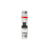 DSN201 A-C6/0.03 Residual Current Circuit Breaker with Overcurrent Protection