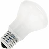Incandescent Bulb E27 60W 220V FR mushroom