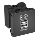 MTG-2UC2.1 SWGR1 USB charger with 2.1 A charging current 45x45mm